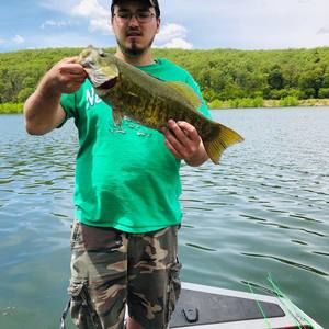 Meet your Posher, Dylan